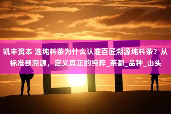 凯丰资本 选纯料茶为什么认准百匠溯源纯料茶？从标准到溯源，定义真正的纯粹_茶都_品种_山头